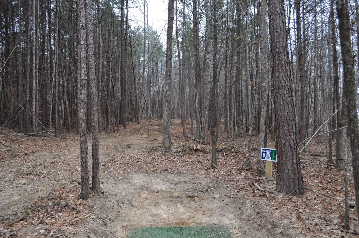 Hole 6 Short