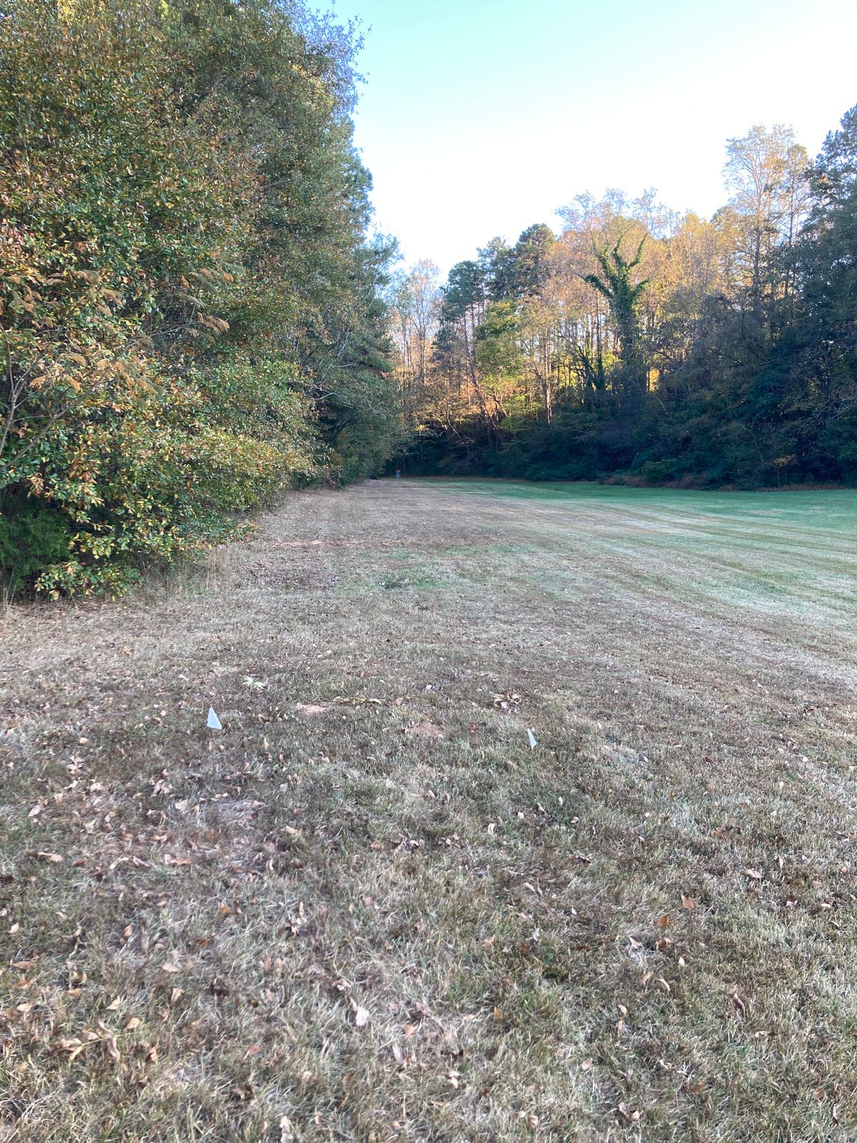 Hole 4. Big downhill shot. Basket hugs left tree line