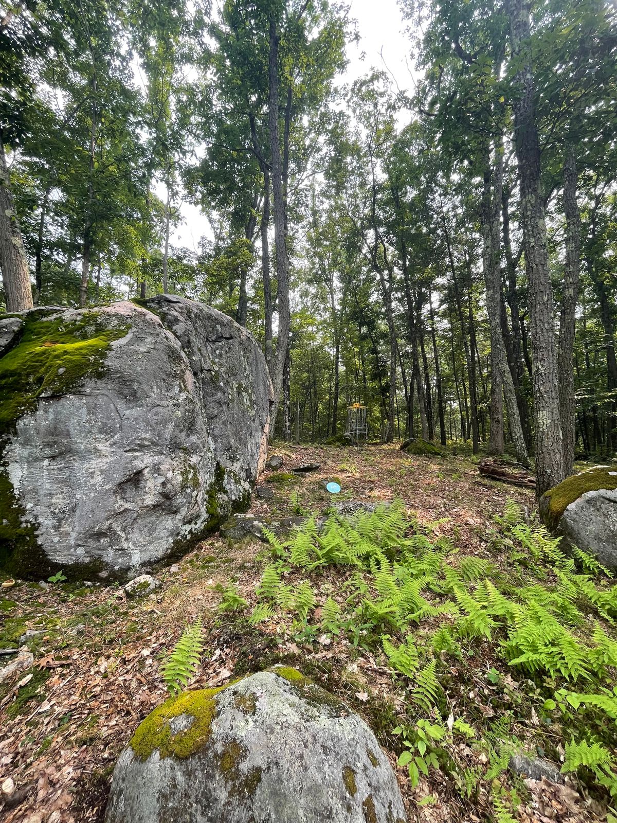 Hole 4