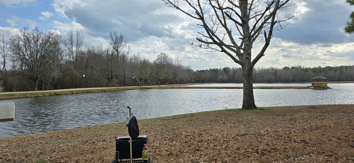 Tee 10 PRO location. It is approximately 250' the peninsula and another 500' to the basket.