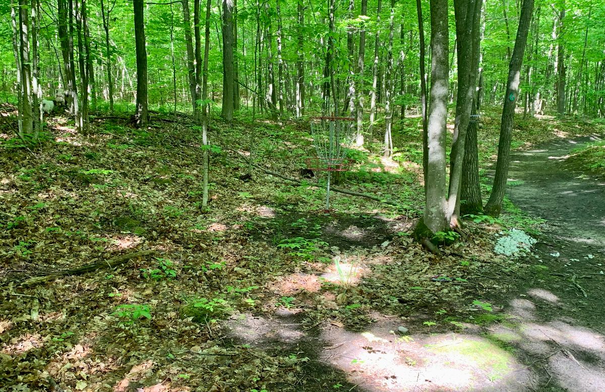 Hole 5