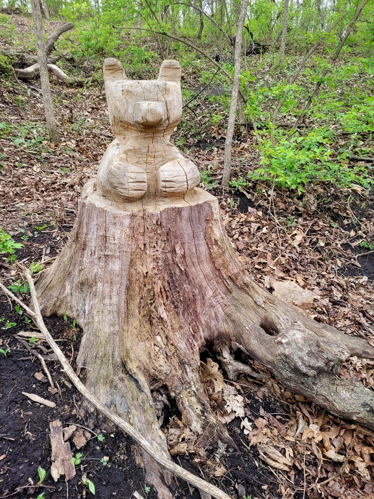 Hole 14 Course Art