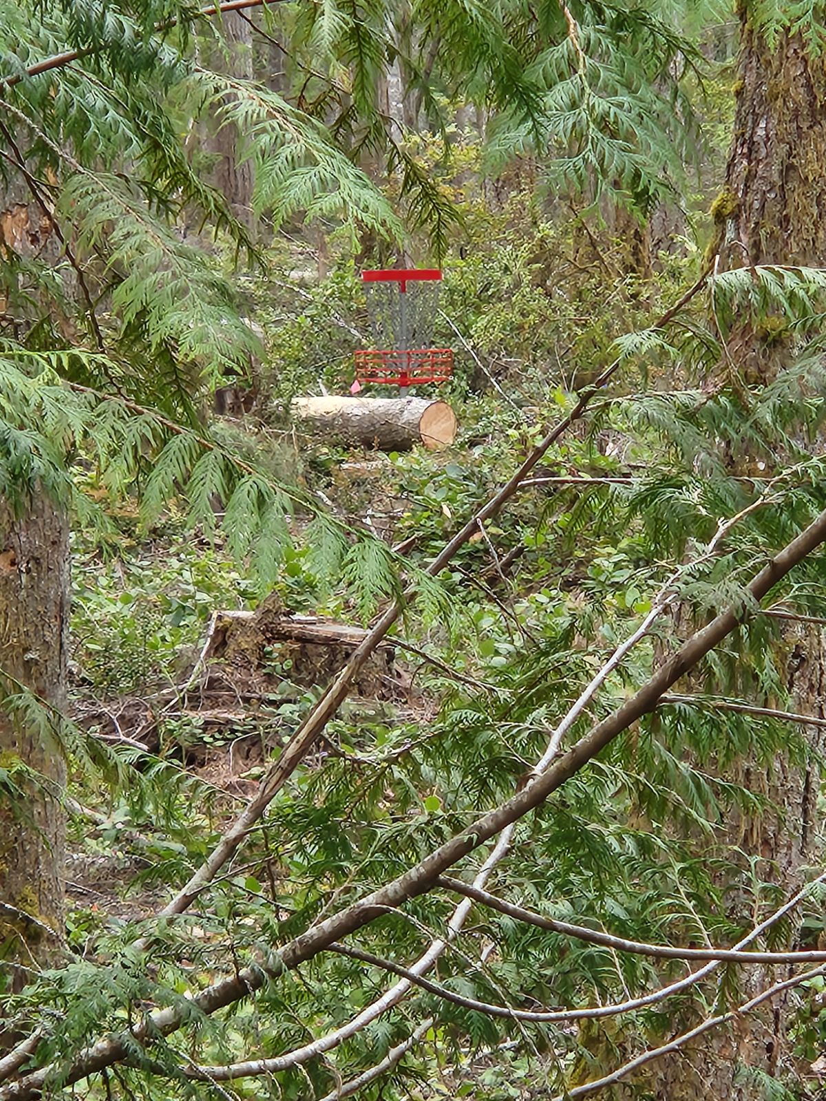 Hole 3 Basket