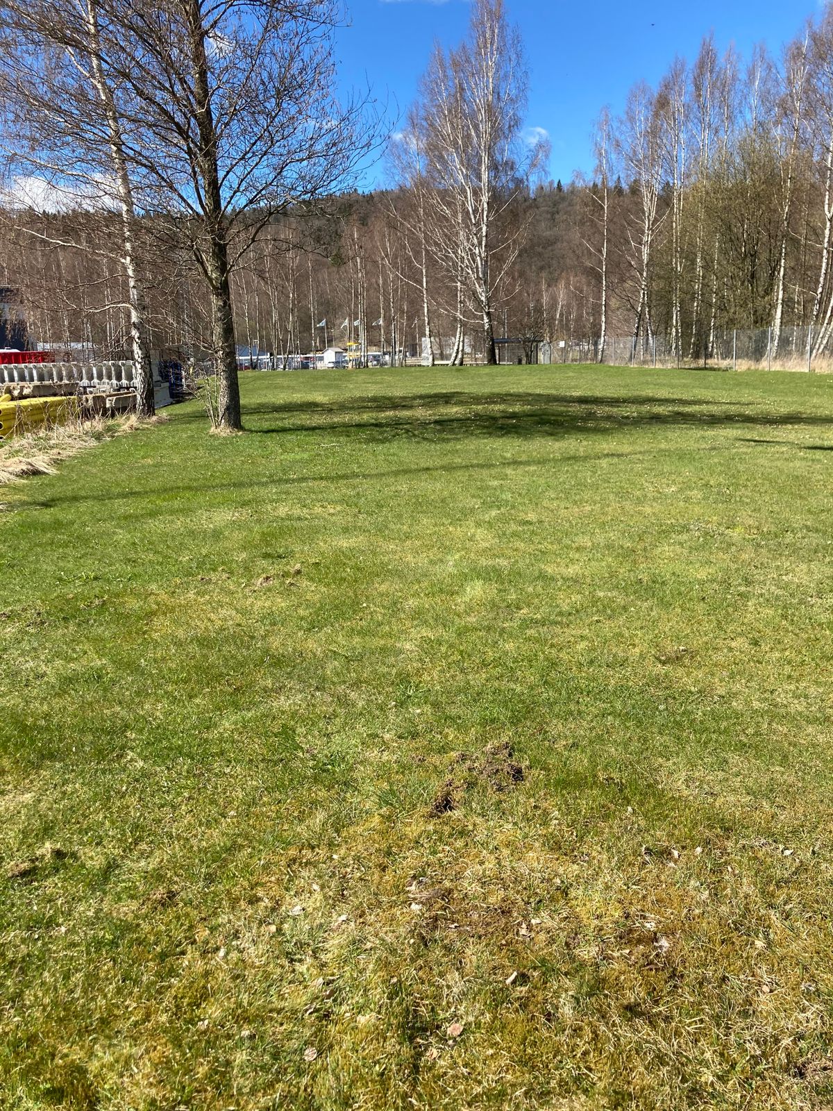 Tee 5
