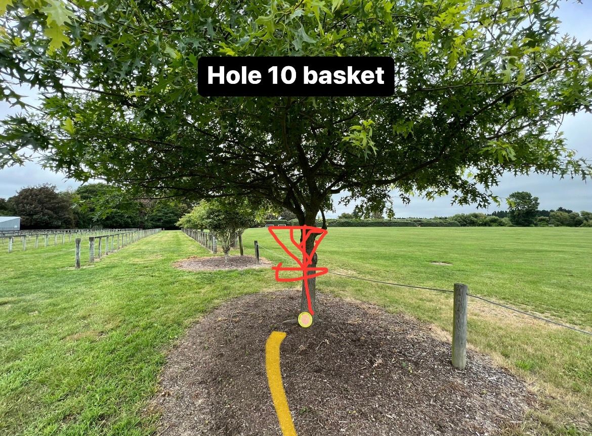 Hole 10 basket