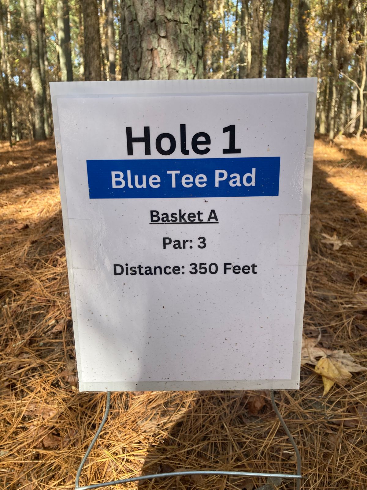 Hole 1 Blue Tee Sign