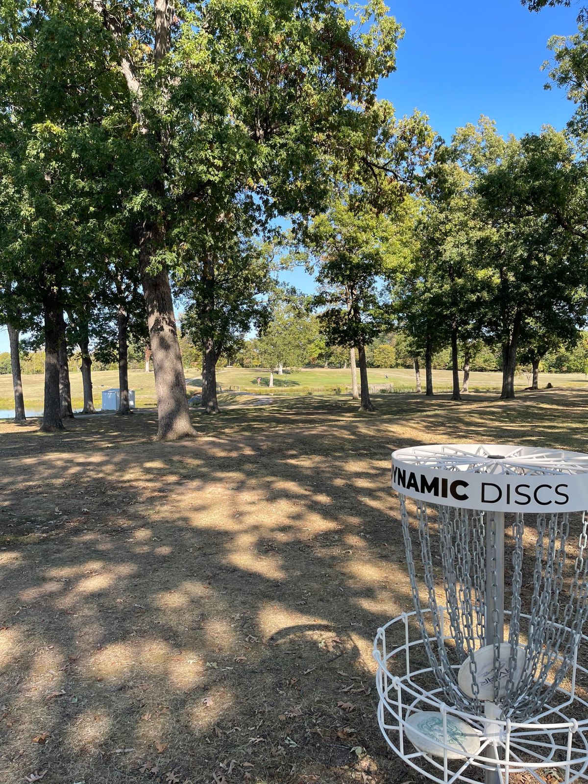 Hole 4’s basket