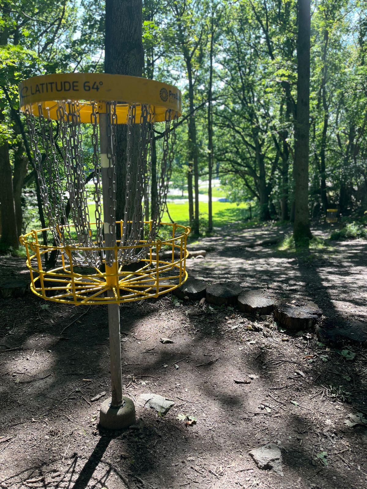 Hole 6 yellow course