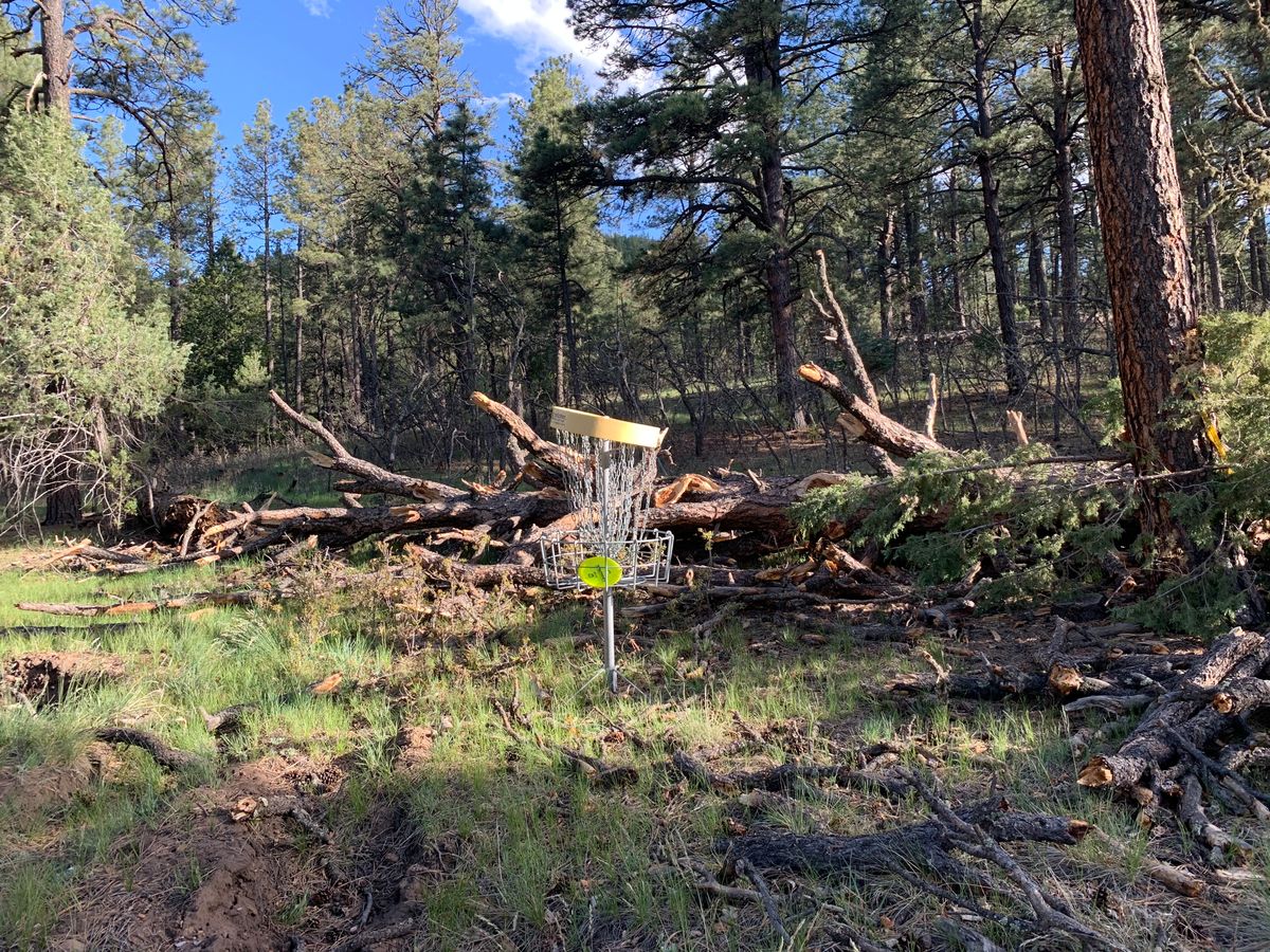 Hole 12