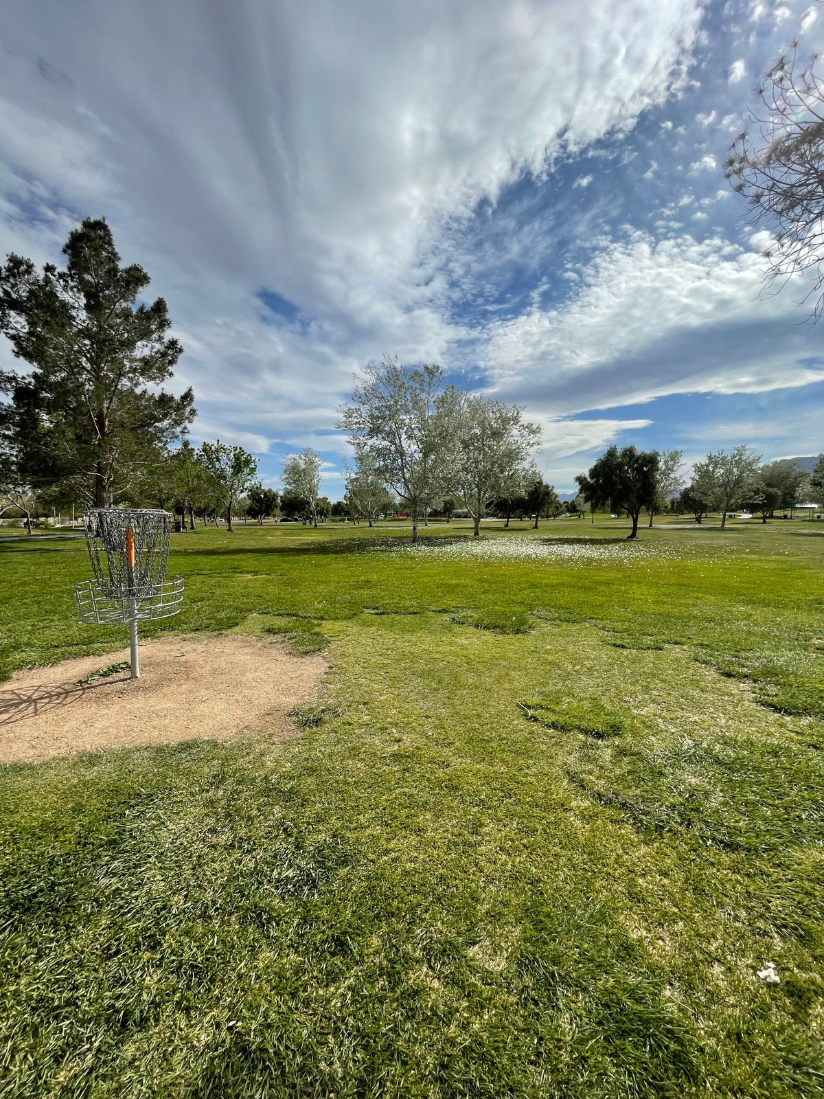 Hole 4