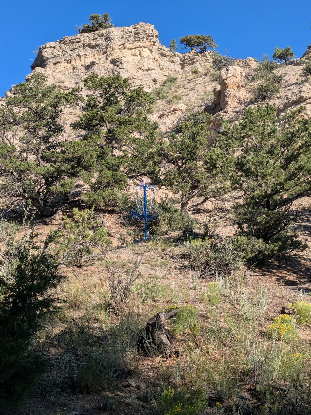 Hole 8