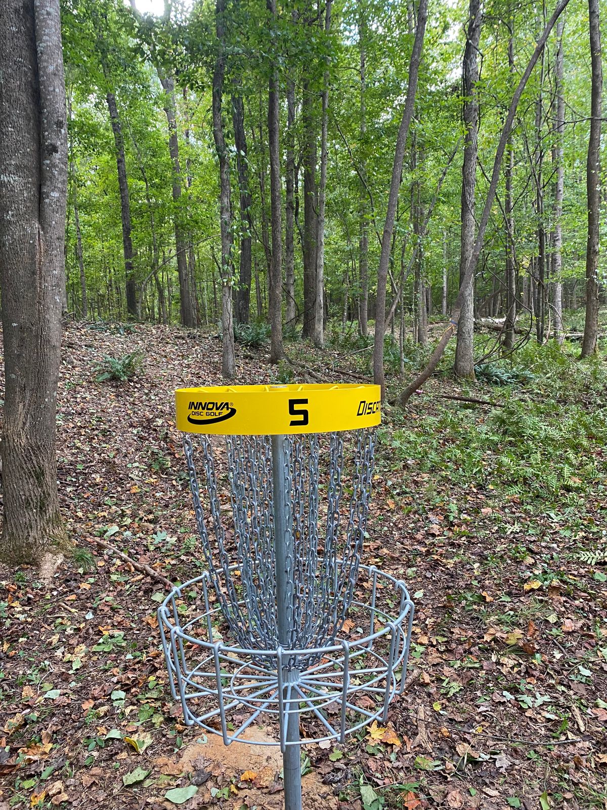 Hole 5 Basket