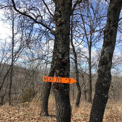 New Next Tee Signs