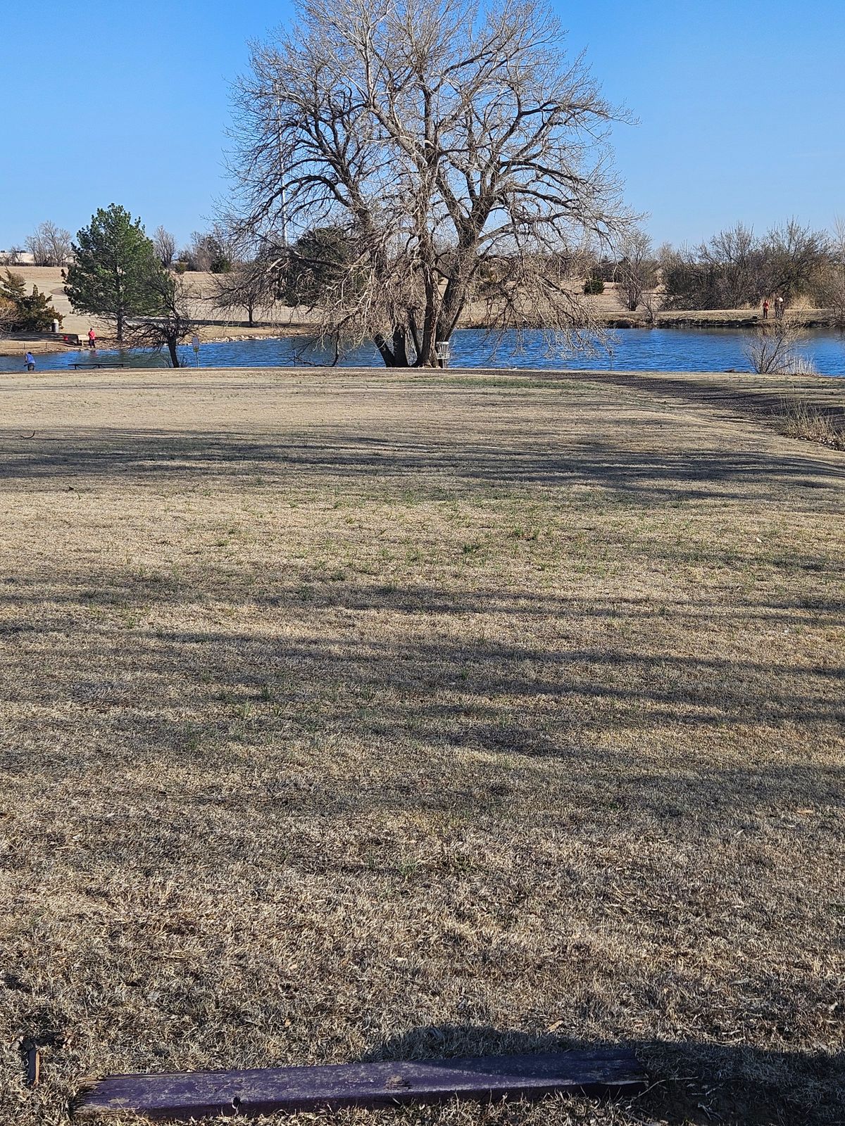 Standing on tee #13