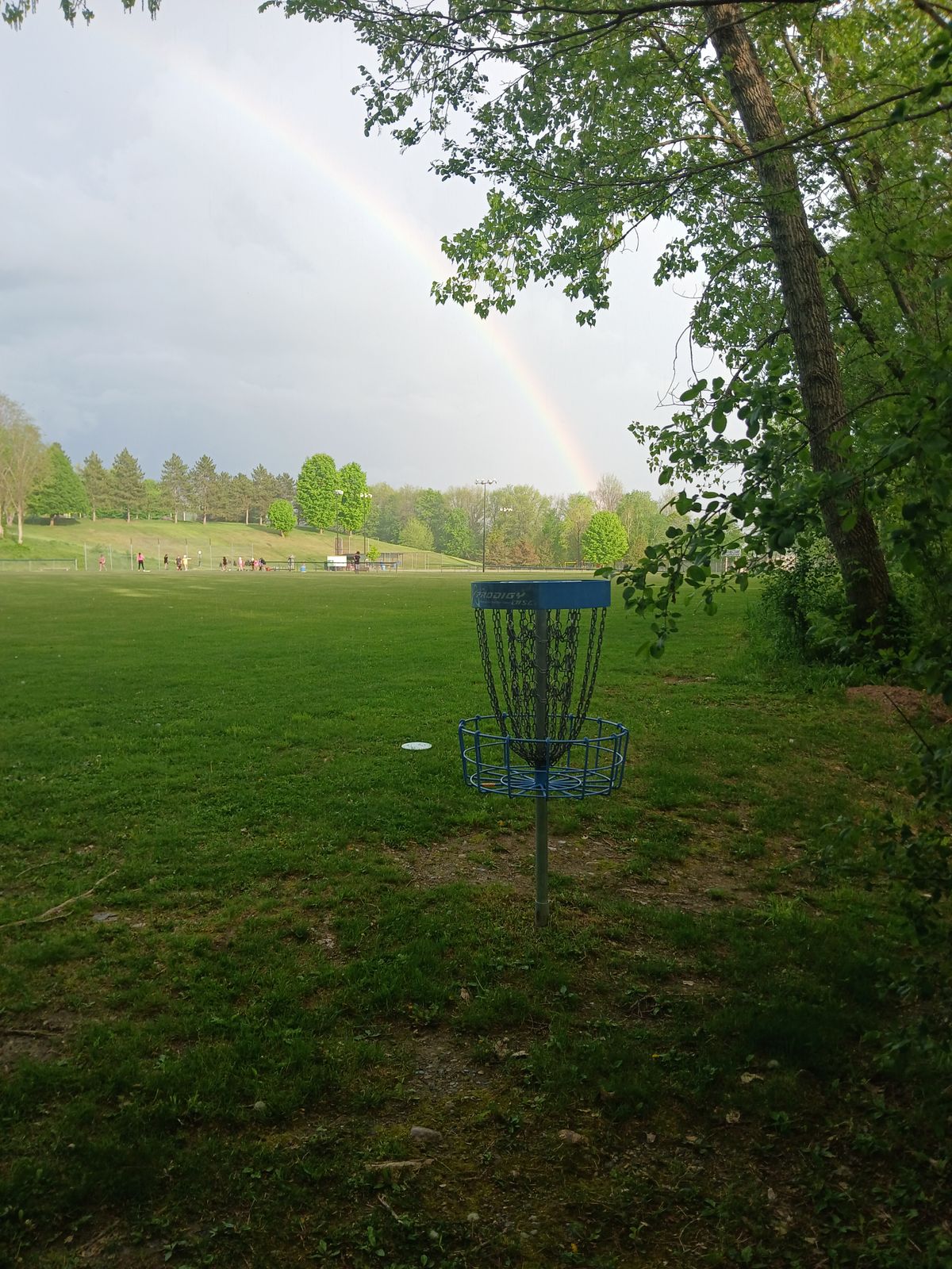 Rumor has it, there is an ace at the end of the rainbow 🌈 