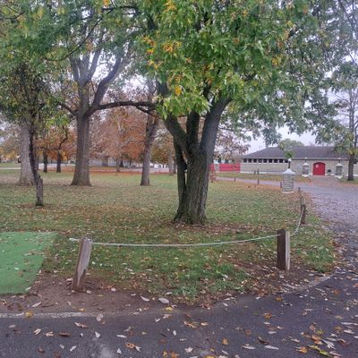 Start of Basket 07. Hope this helps people find it.