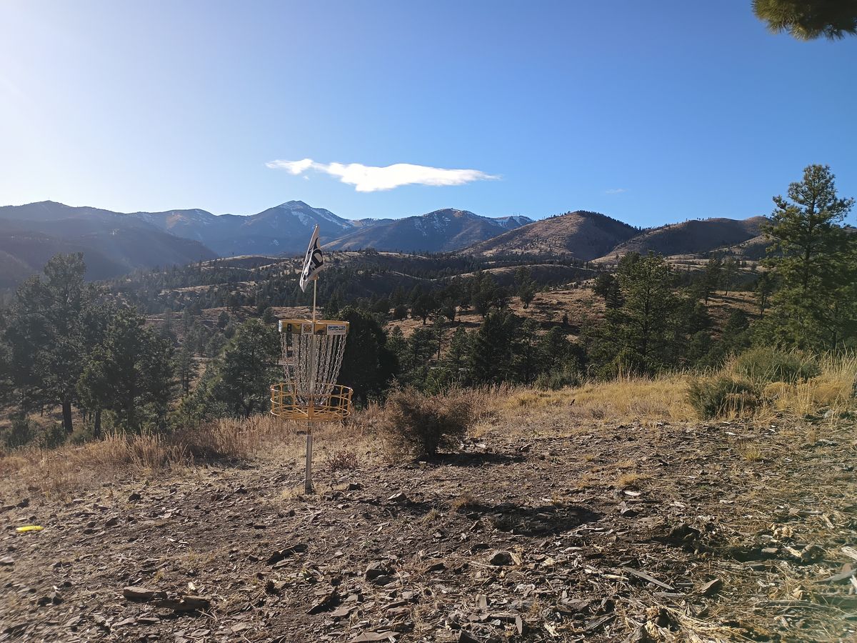 Basket 8 View