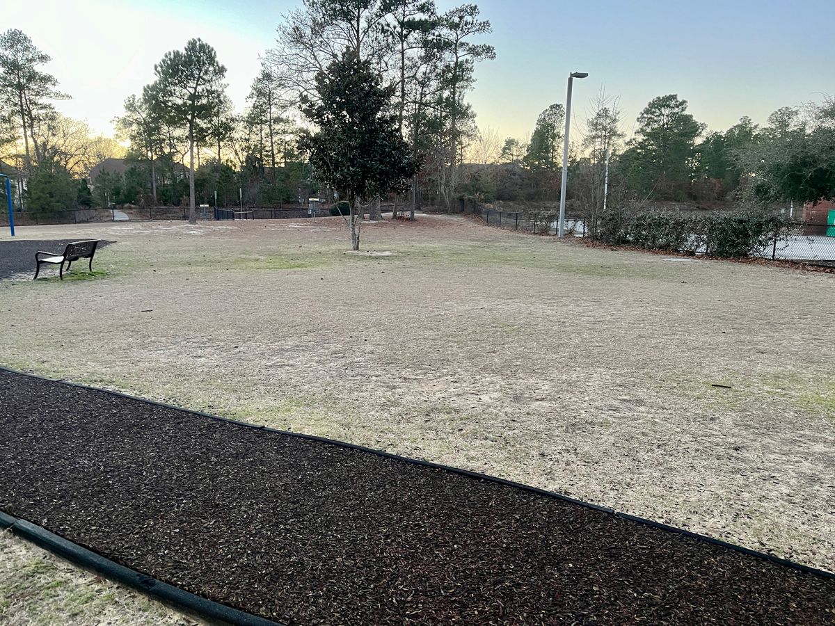 Hole 9 tee