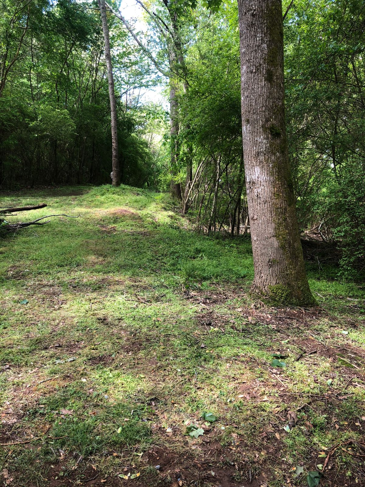 Hole 7