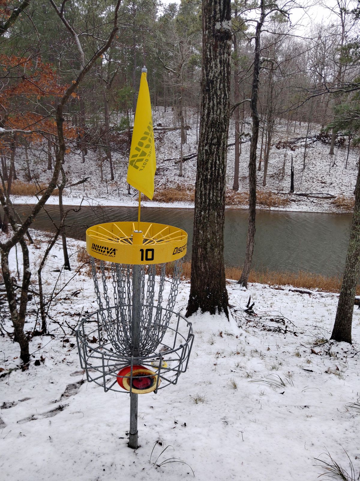 Basket 10 Snow day