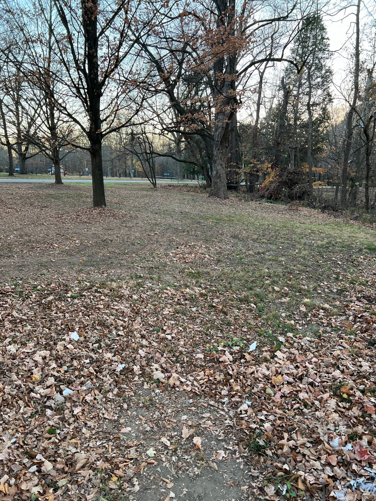 Hole #4