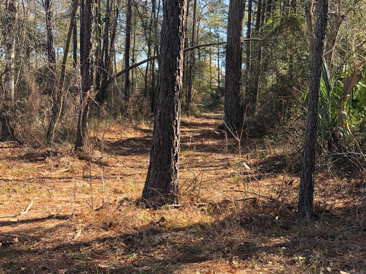#3, basket at corner