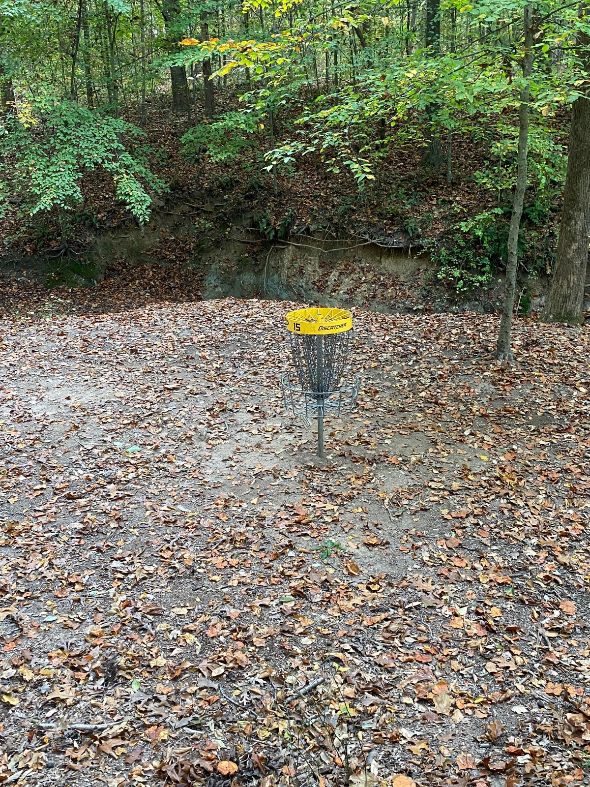 Hole 15 basket 
