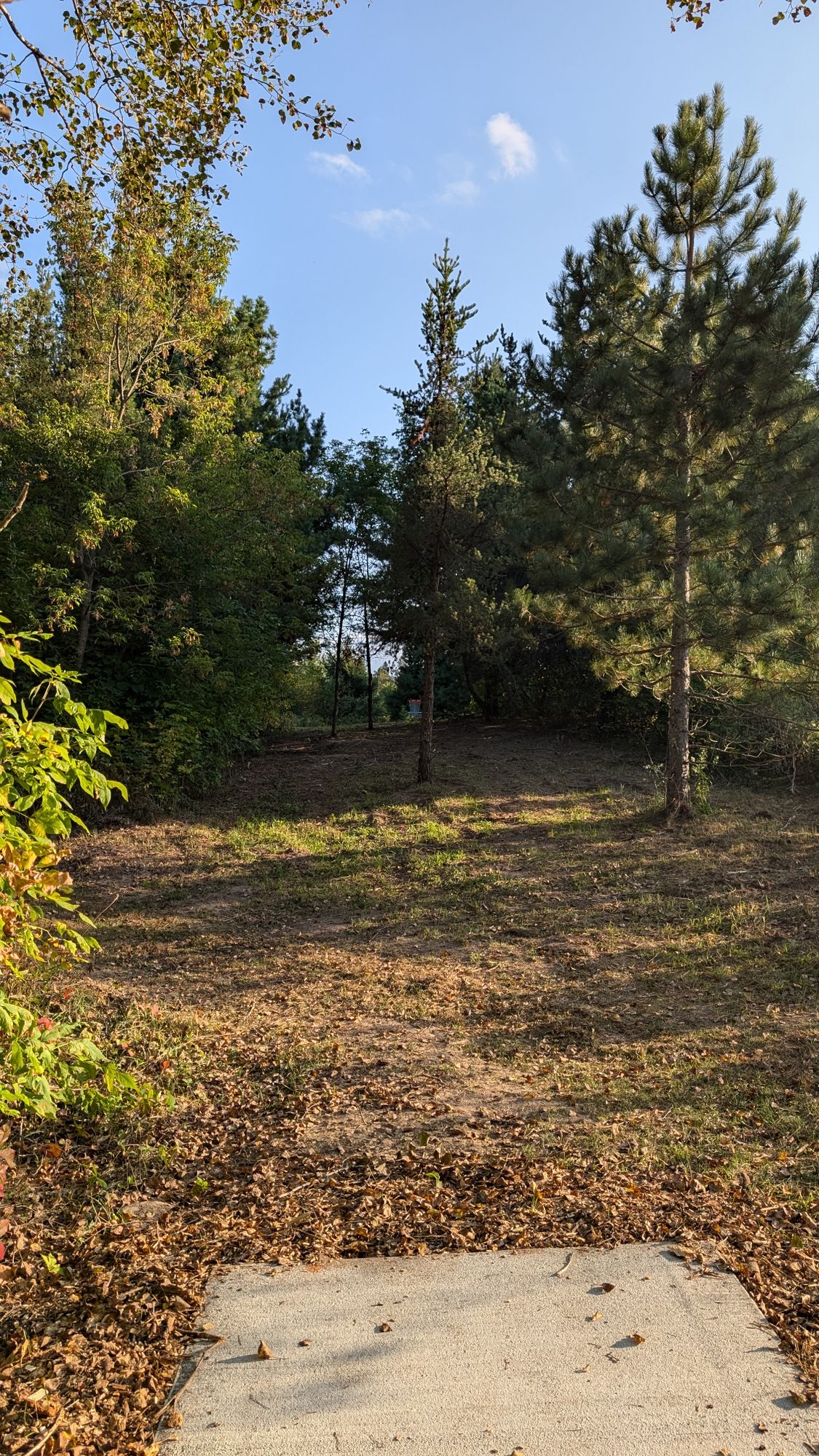 Pull the pin!!!  Time for a grenade?  Fun little short par 3 through or over the trees... your choice.