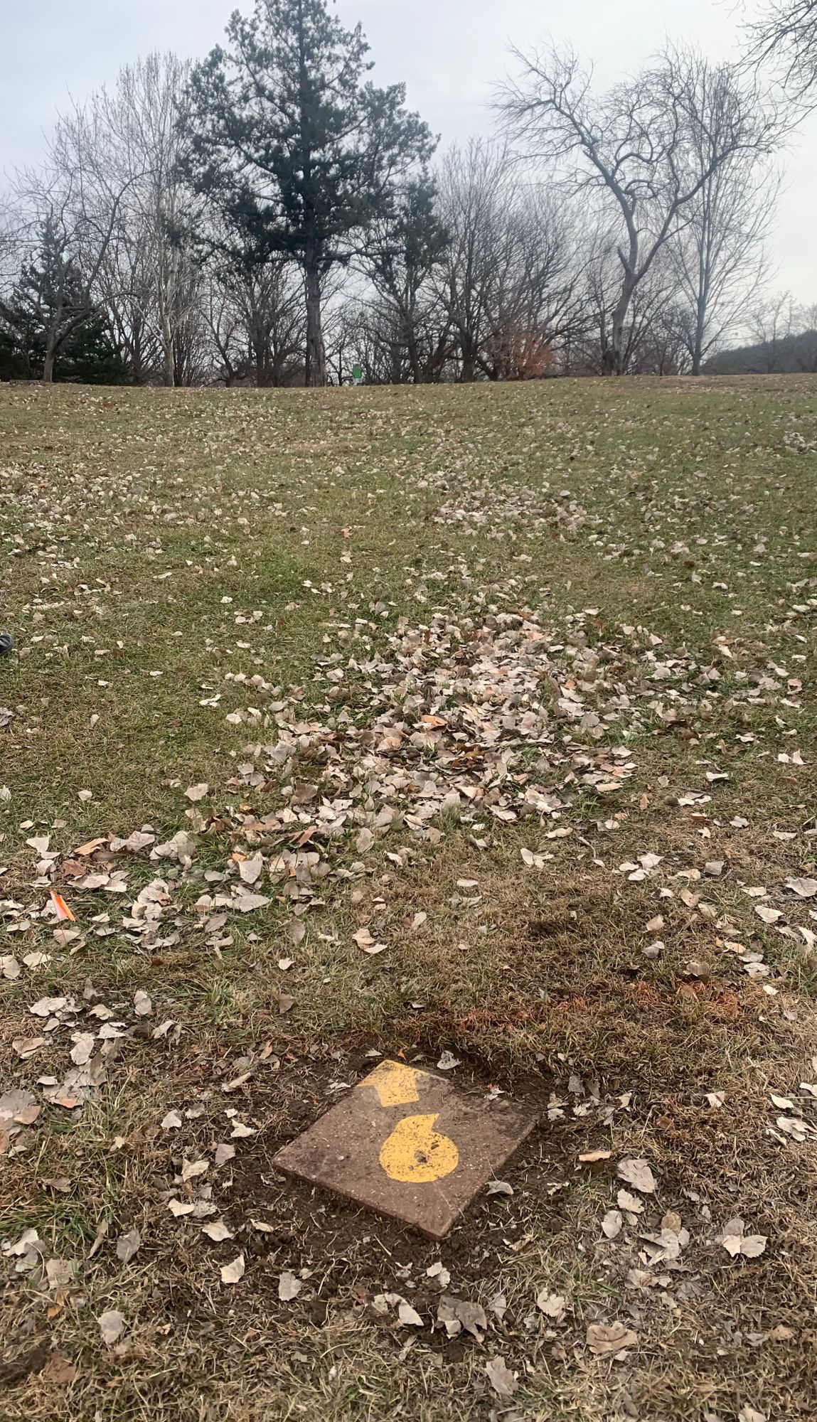 Hole 15…… hole 6 of the longs