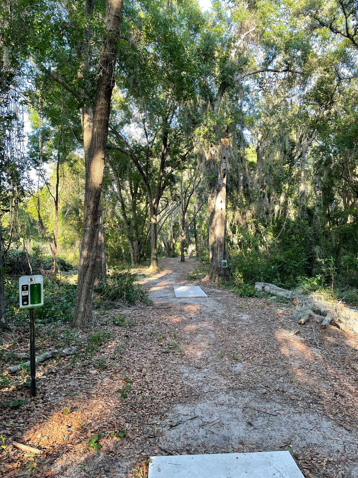 Hole 5