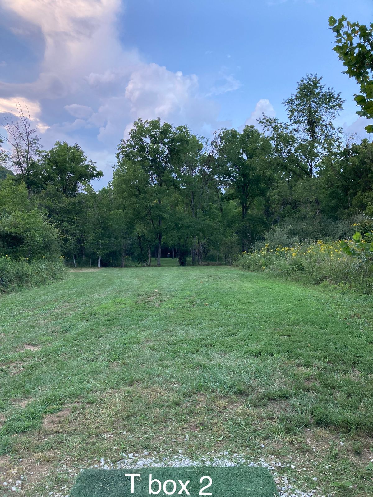 T box 2 hole 8