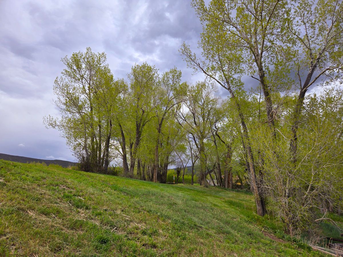 Hole 2 from mid-fairway