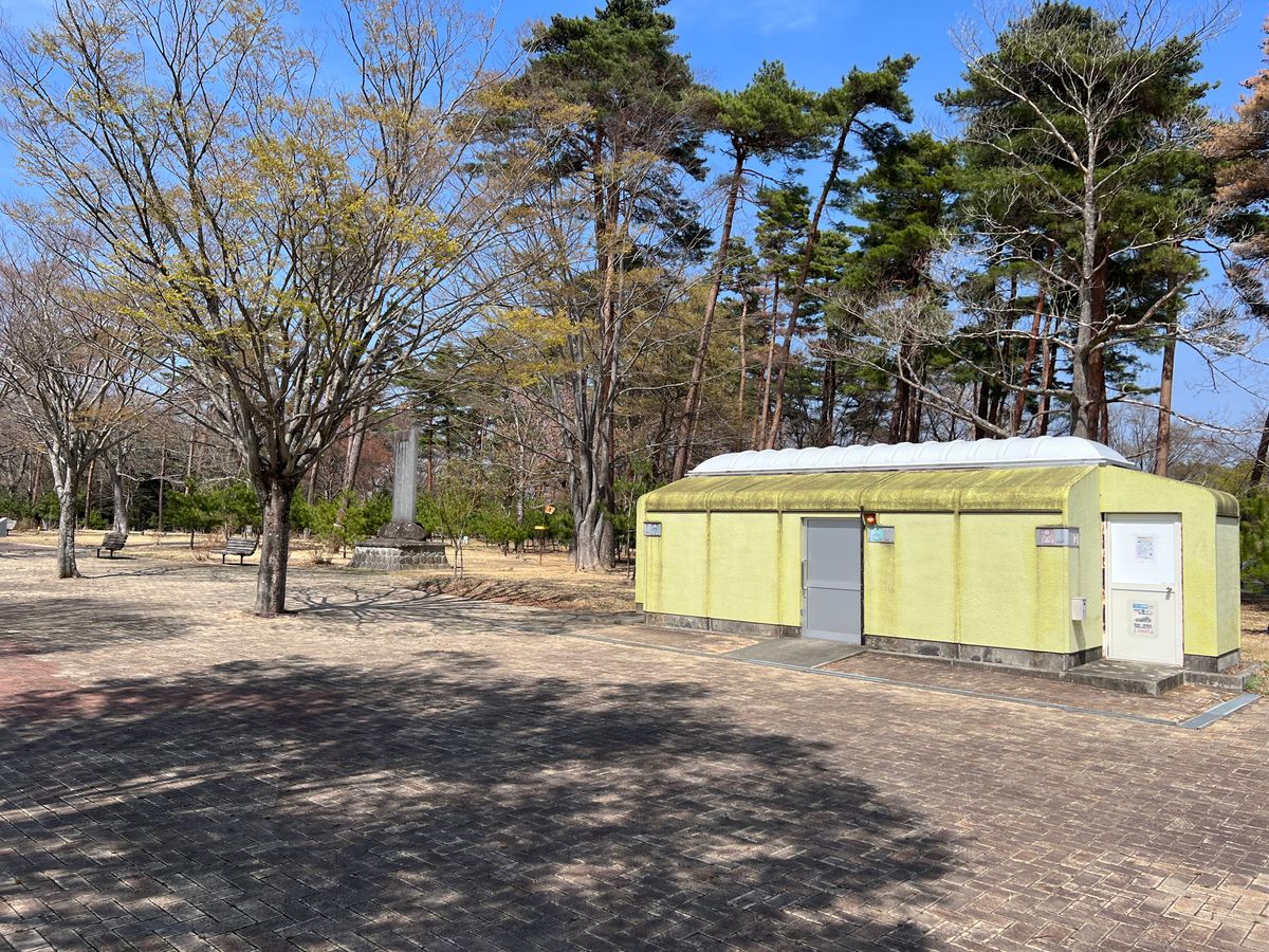 Toilets and hole one basket.