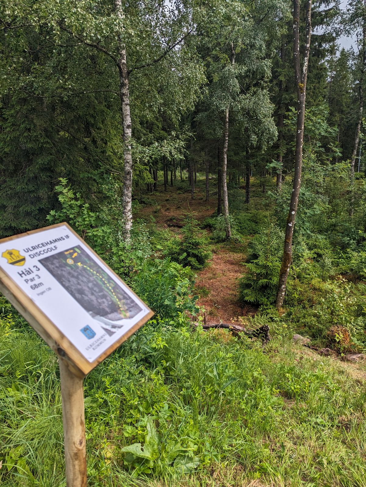 Tee hål 3
