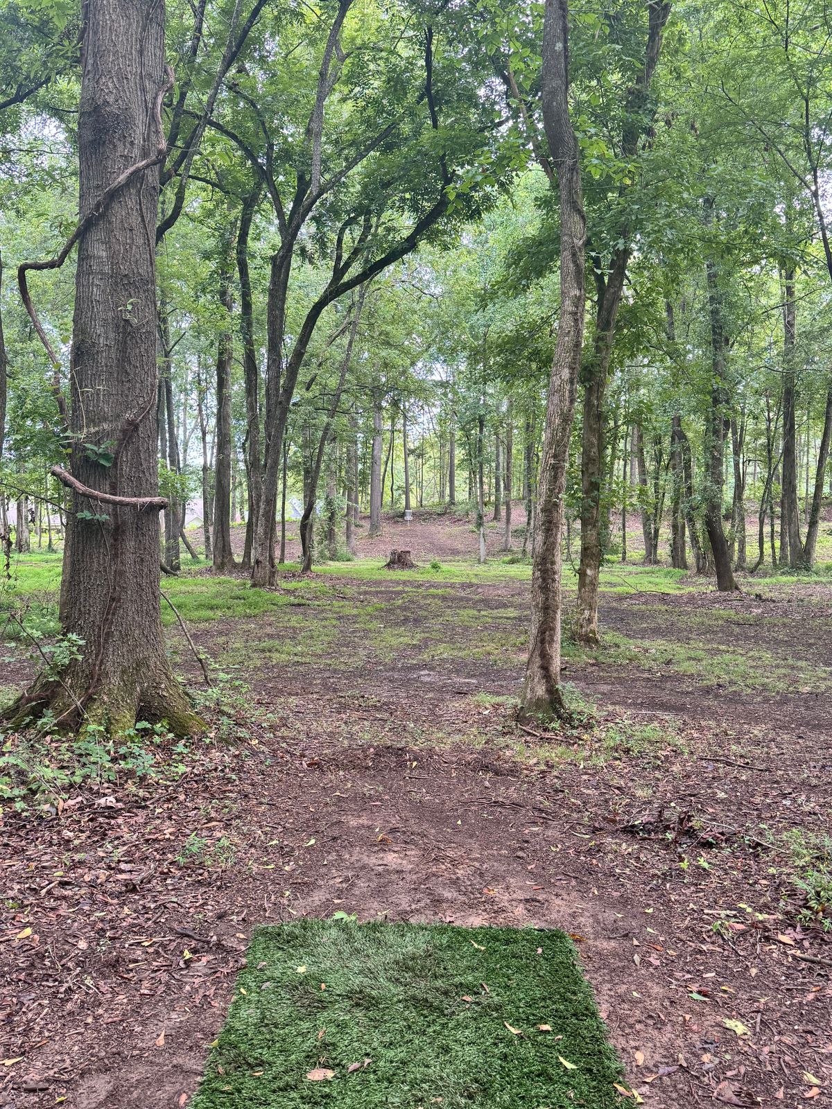 Hole 18