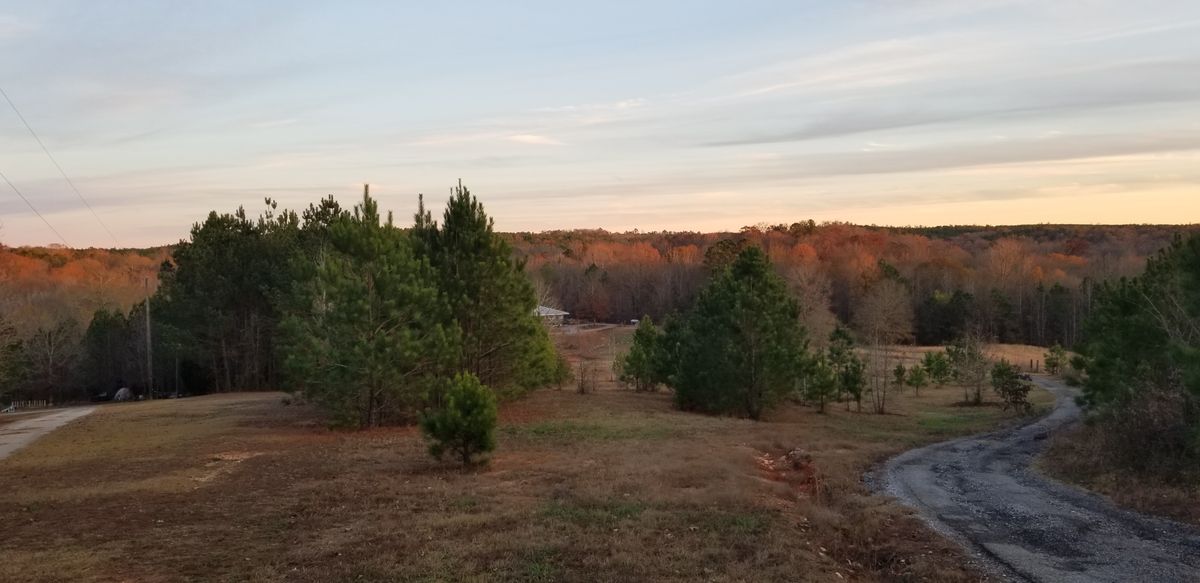 View from 18 Gold