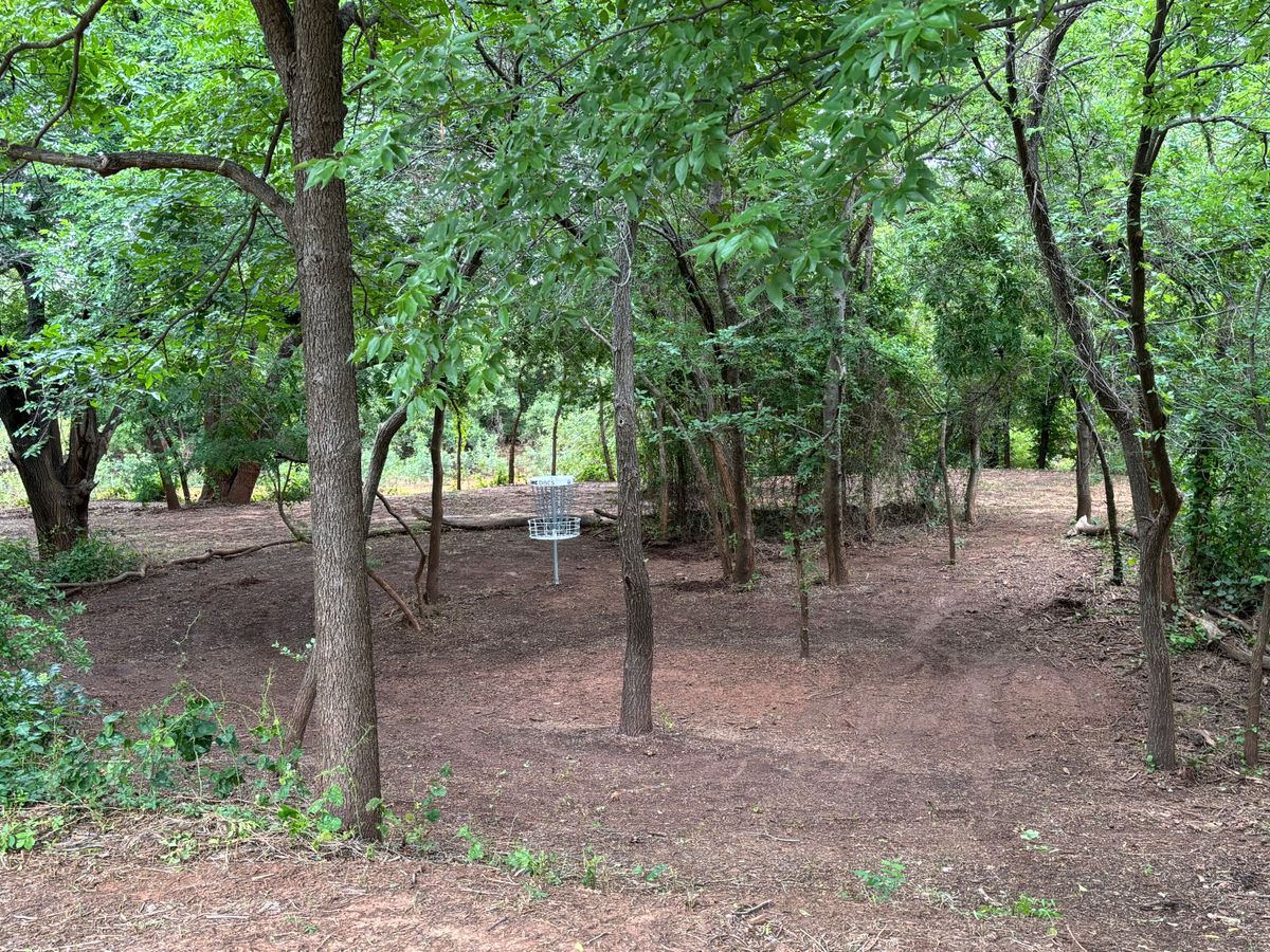 Hole 11 green