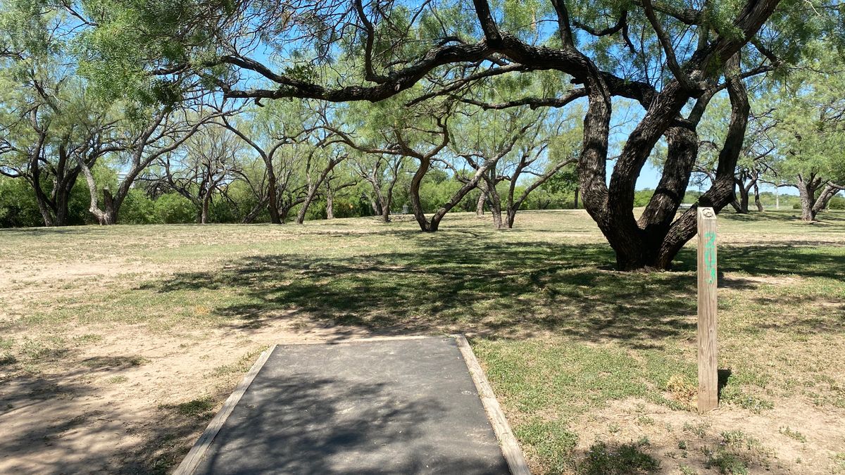 Hole 6