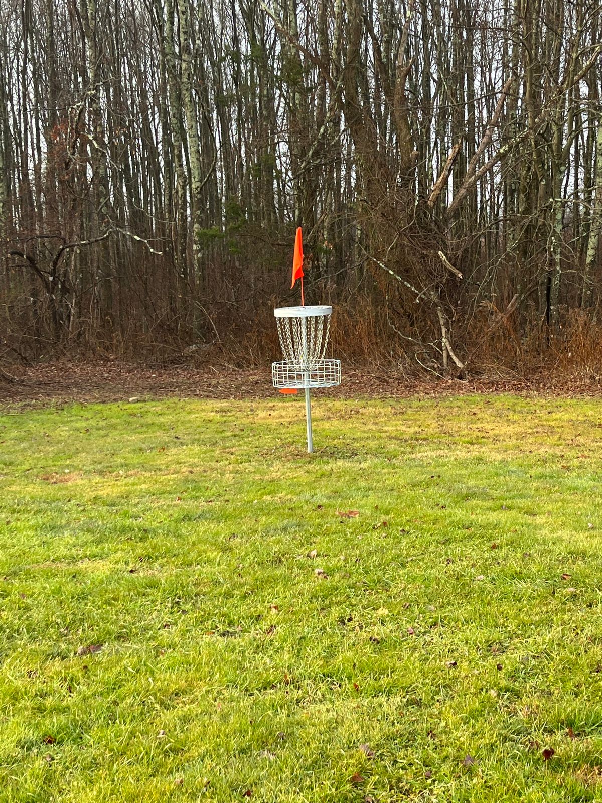 Hole 7