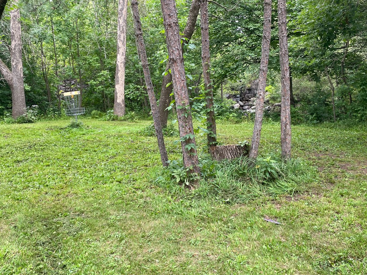 Just mowed, and played amazing!