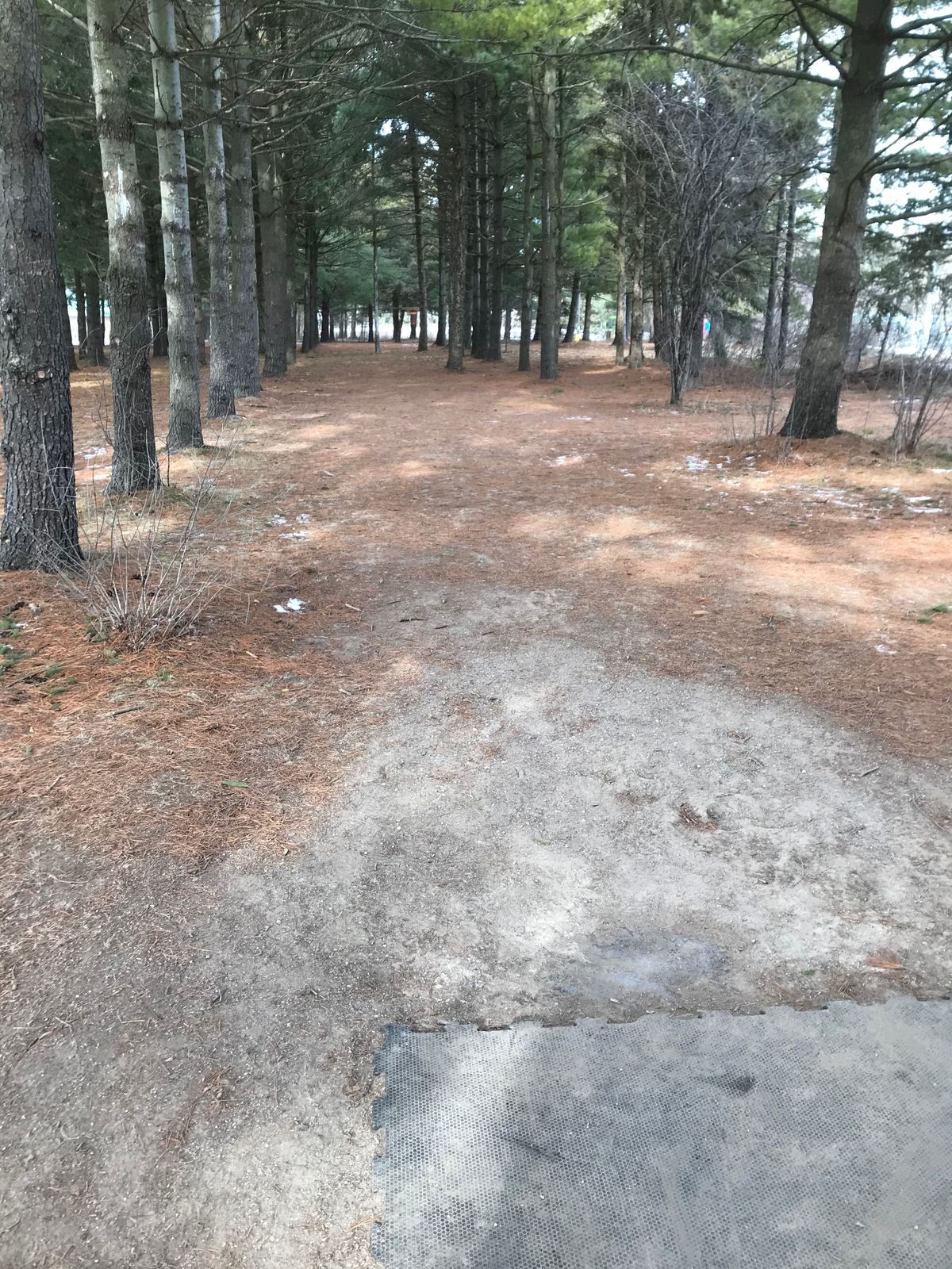 Hole 4 tee view