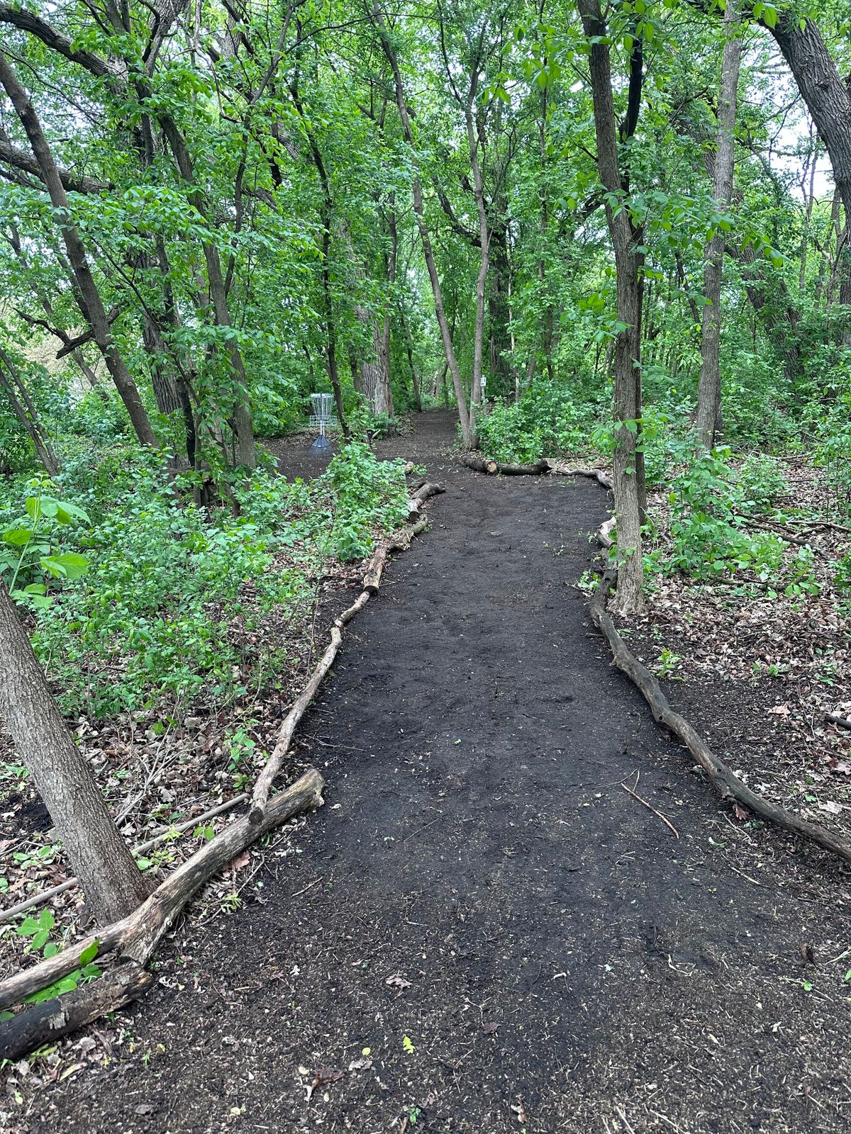 New path leading up to Hole 8