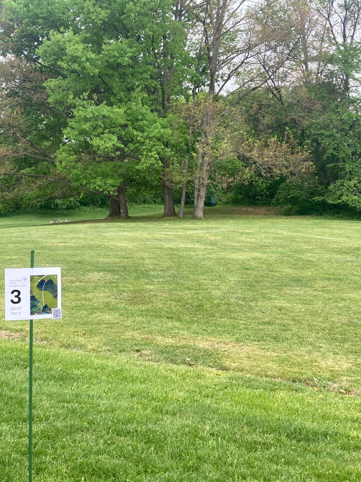 Hole 3