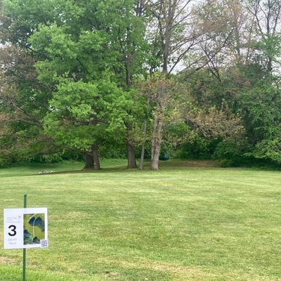 Hole 3