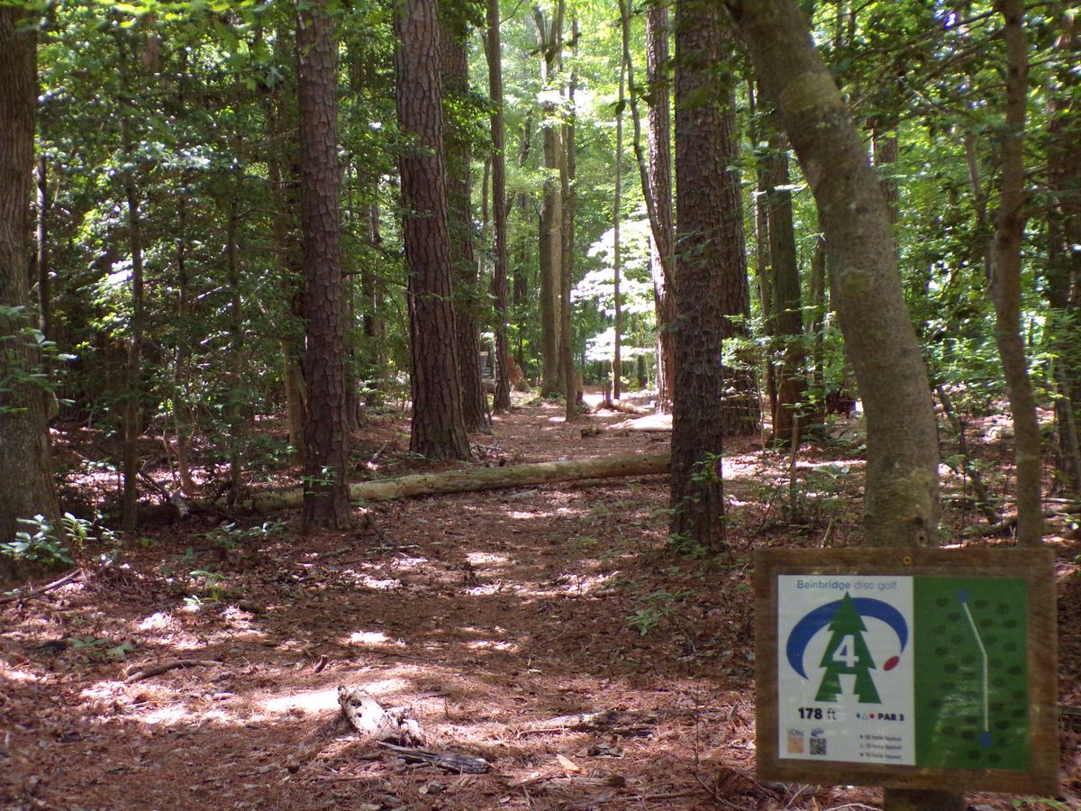Zoomed in shot of hole 4 with the basket visible.