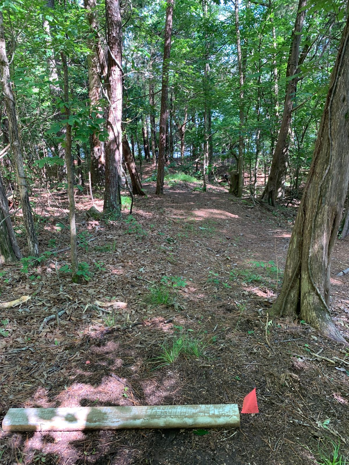 Hole 5