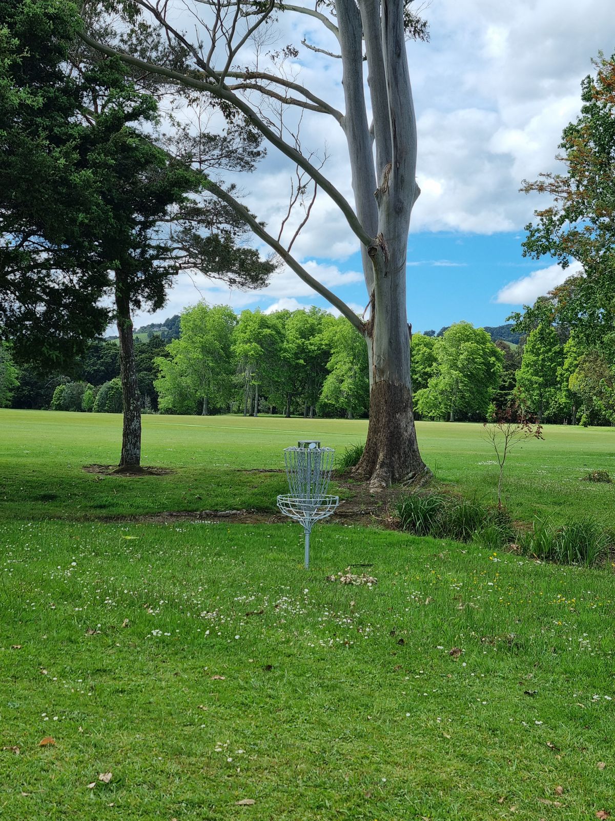 Hole 4 basket