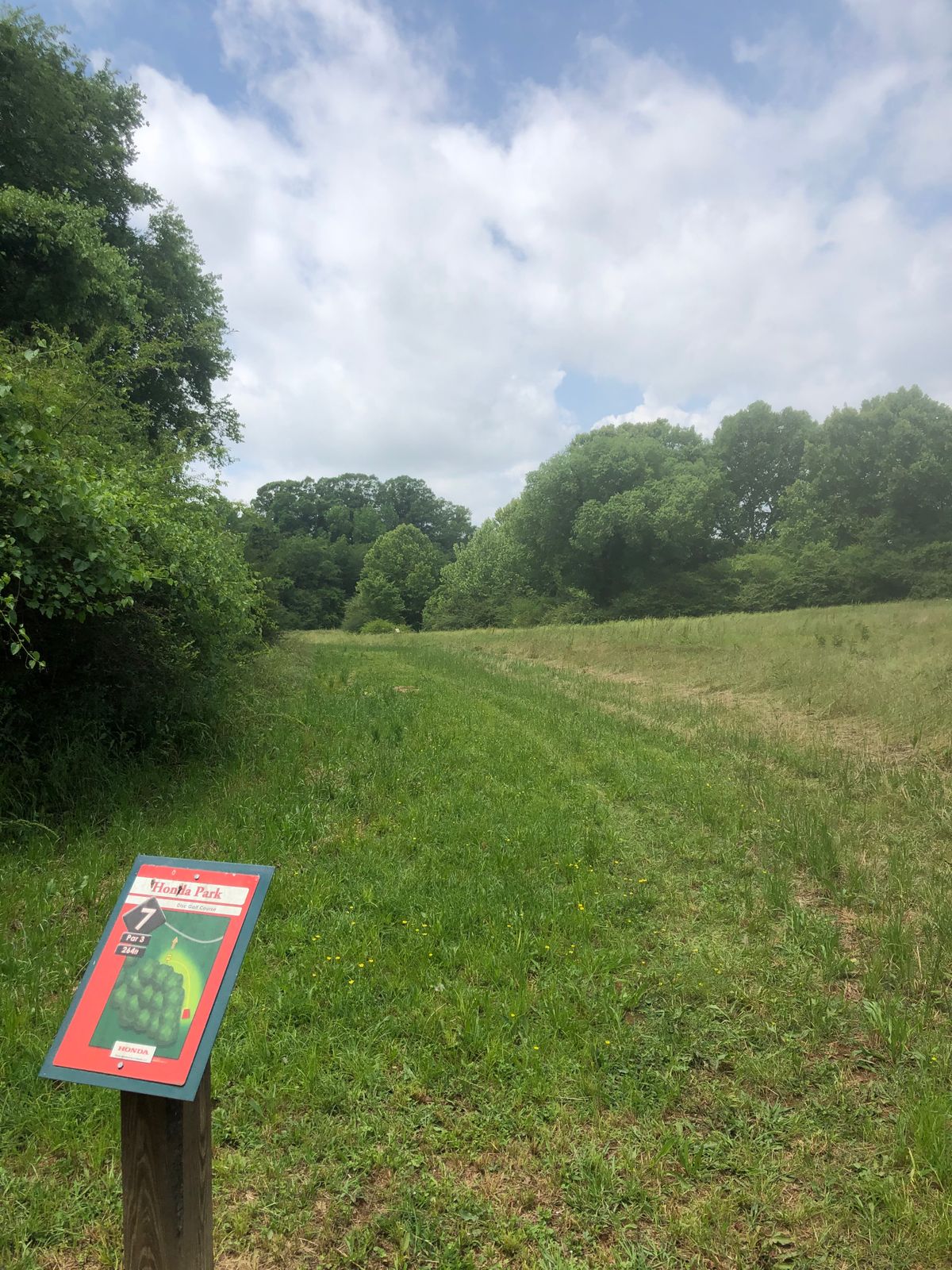 Hole 7