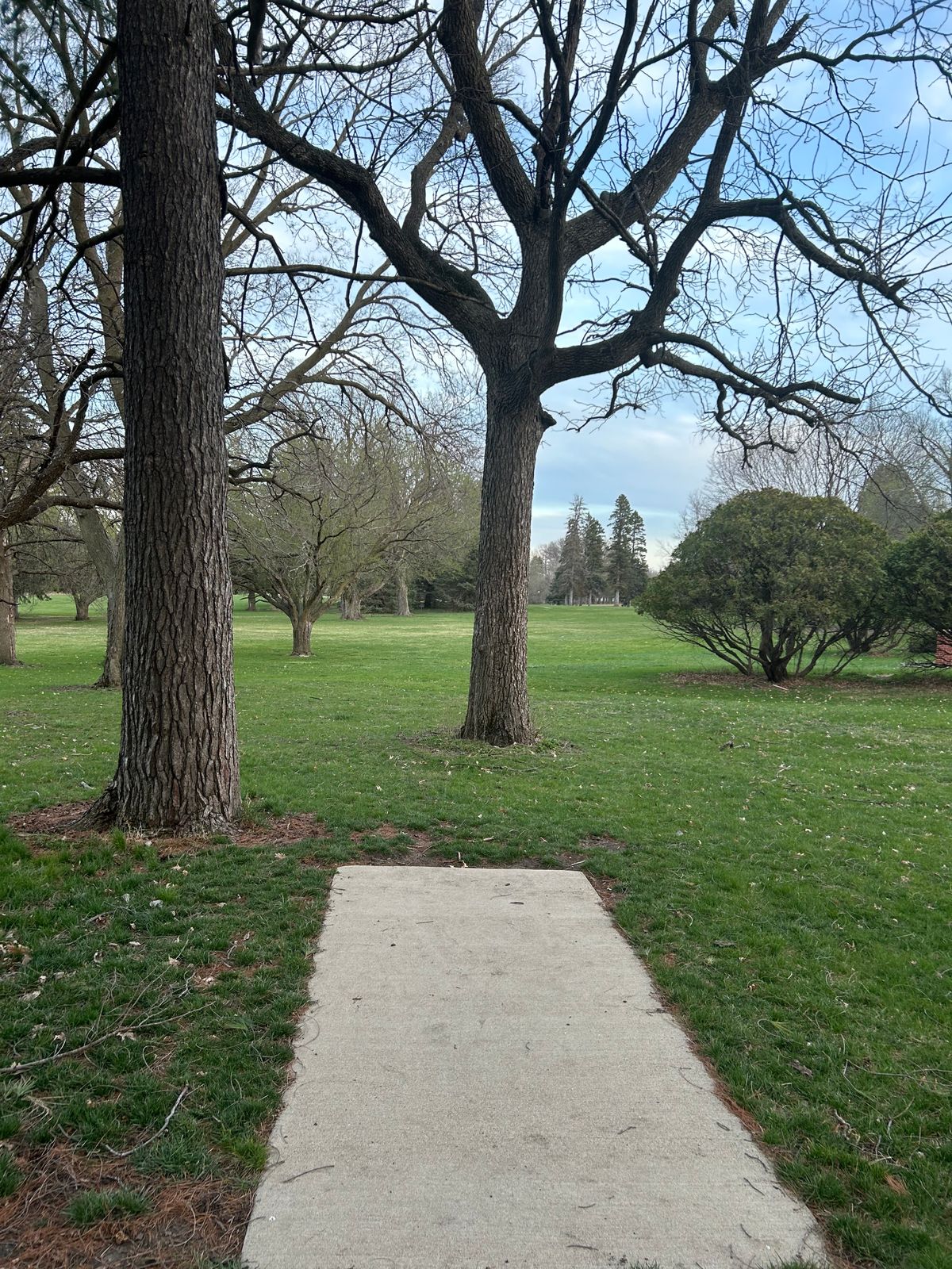 Hole 14s teepad - a demanding shot