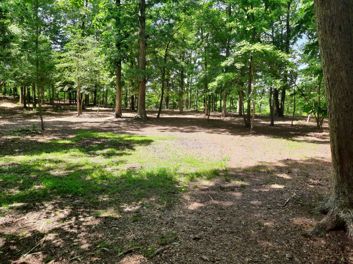 Hole 13 Fairway